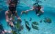 snorkeling in cancun and riviera maya