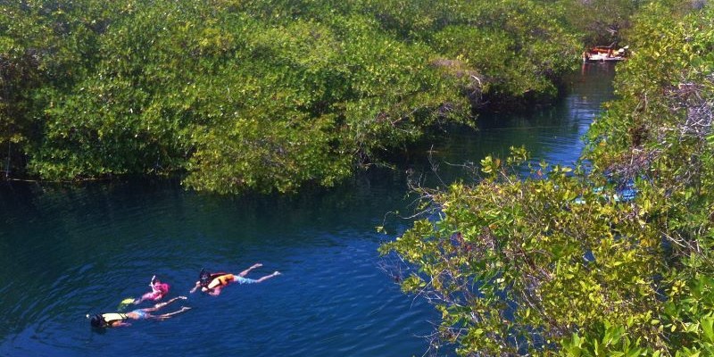 Cancun Airport to Cenote Encantado Tulum