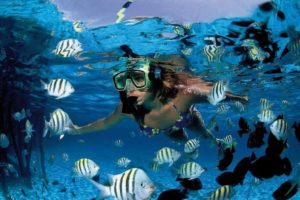 Snorkel Expedition playa del carmen tours