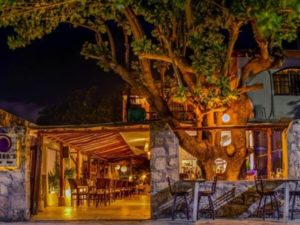 Tanino’s puerto morelos restaurants