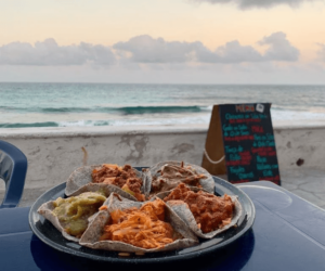 Tiny Gecko Bar isla mujeres bars