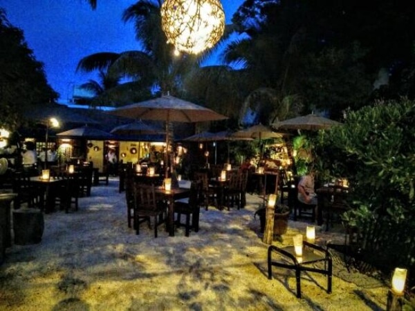 el tigre y el toro cancun restaurant el tigre y el toro cancun restaurant