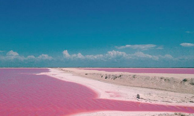 las coloradas yucatan tour