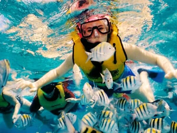 snorkeling tour in cozumel