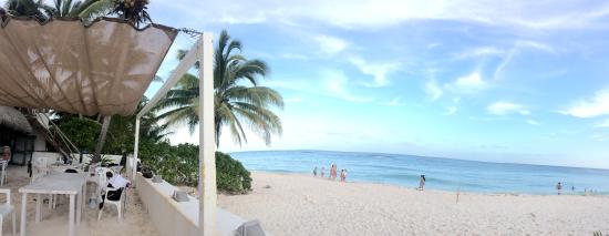 Beached Bikini Bar & Grill