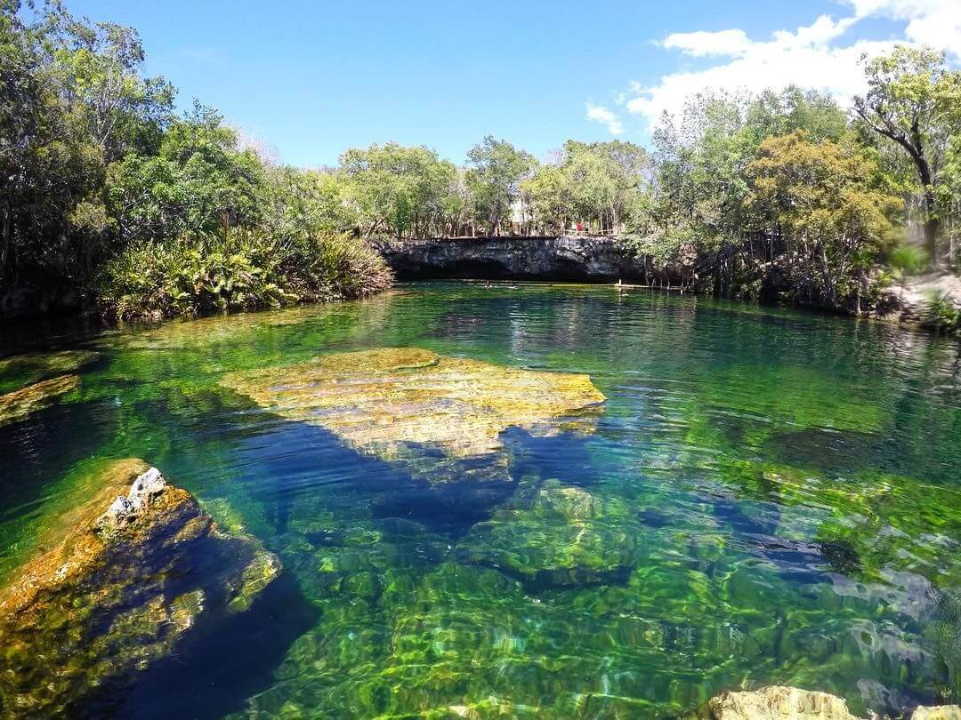 cenote jardin del eden playa del carme