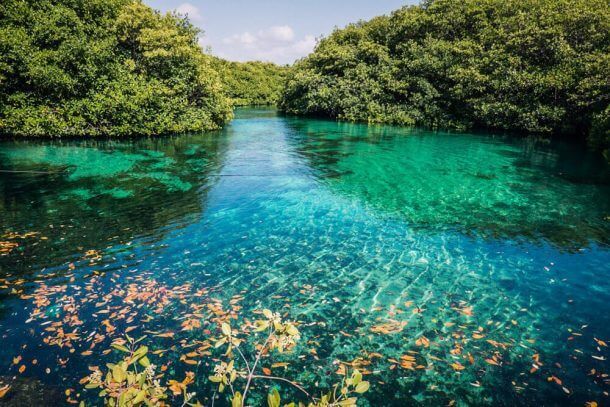 Riviera Maya Cenotes