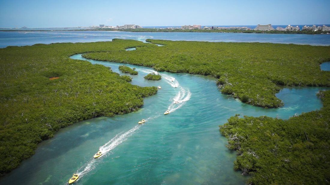 Jungle Tour in Cancun