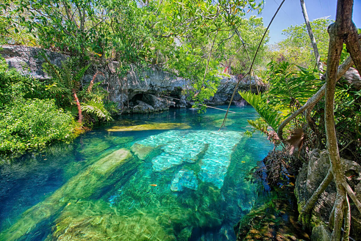 cenote cristalino playa del carmen