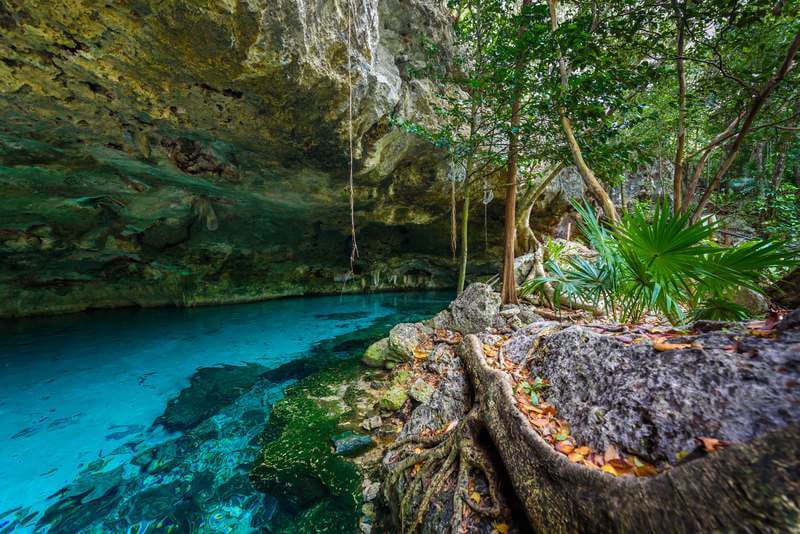 cancun and riviera maya cenotes