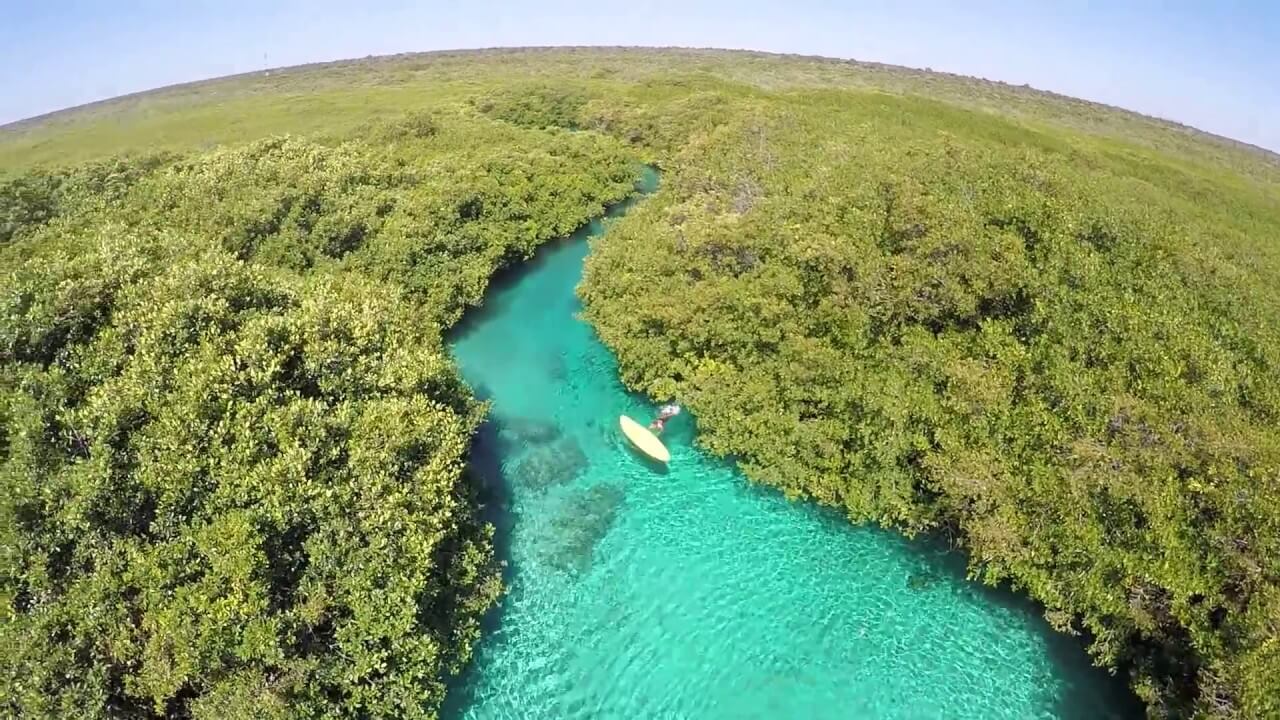 cenote manatee tulum