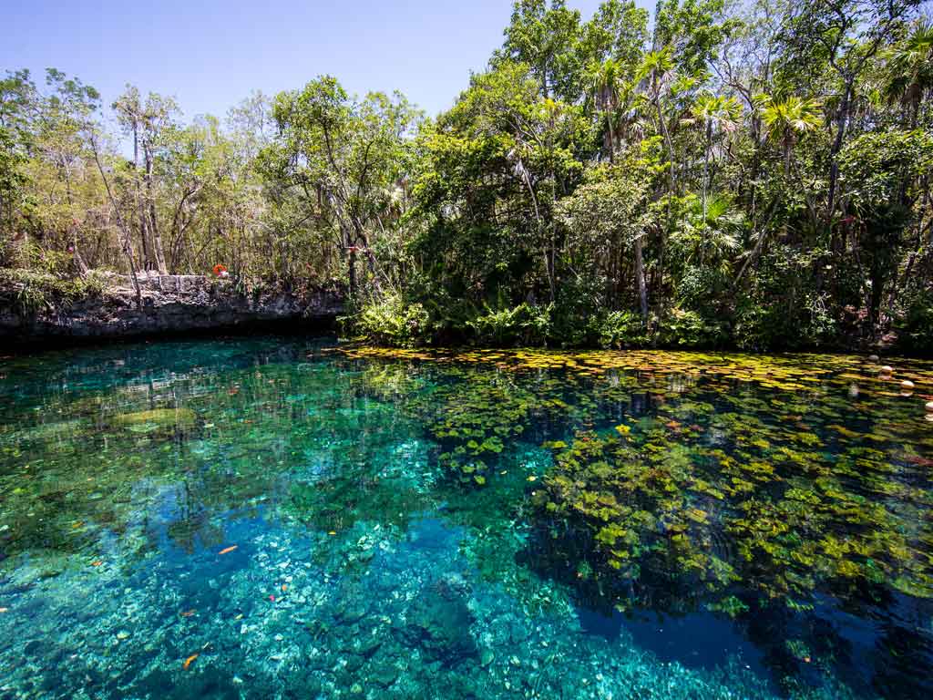 tankah park tulum