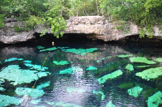 cancun and riviera maya cenotes