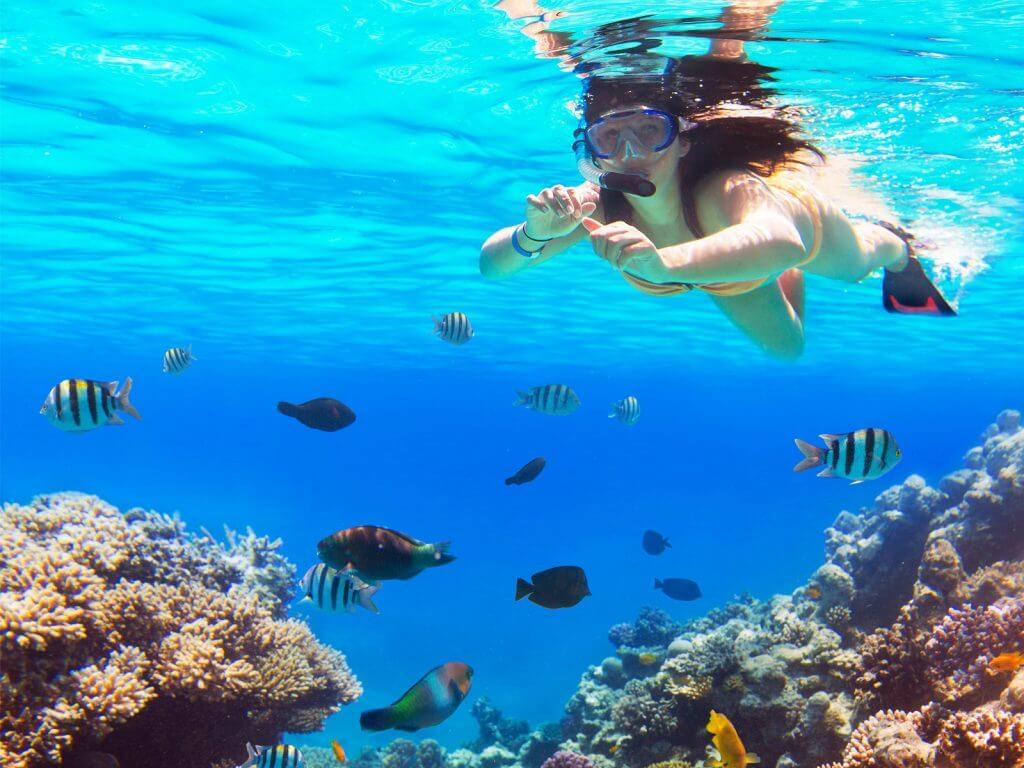 snorkeling in cancun