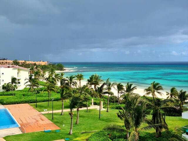 a beach with palm trees in Playa del Carmen