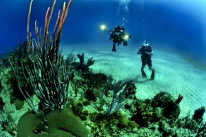 Two people snorkeling in Puerto Morelos