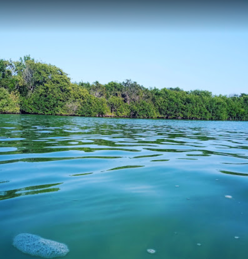 Nichupte Lagoon in Cancun