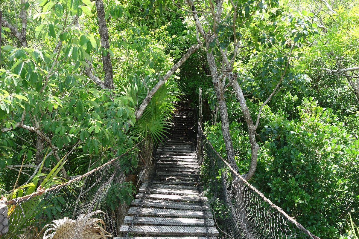 Jardín botánico Dr. Alfredo Barrera Marin