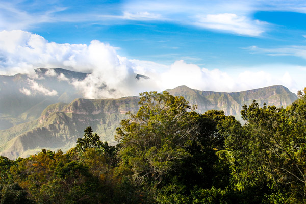 The Perijá Mountains