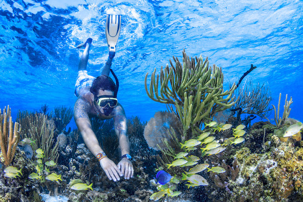Manchones Reef Manchones Reef