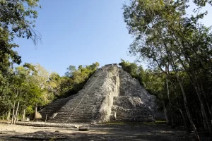 Nohoch Mul pyramid at Coba archeological site. The tallest pyramid in the Yucatan, breathtaking panoramic views of the dense jungle.Coba archeological site, one of the most beautiful archeological sites, nestled in the heart of the Yucatan Peninsula