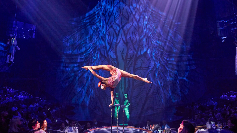 Gala Night at Cirque du Soleil: JOYÀ