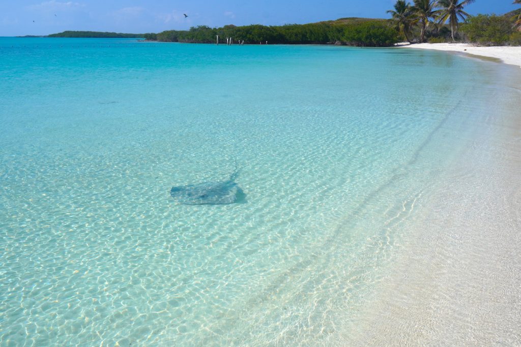 Isla Contoy: The Virgin Paradise