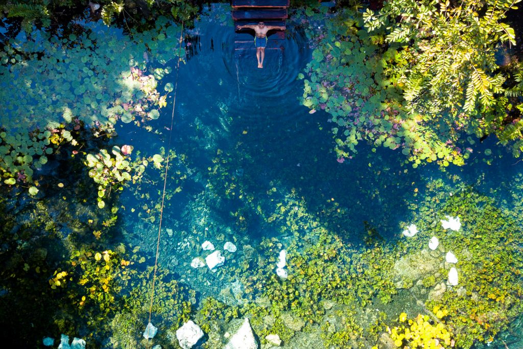 Cenote Nicte-Ha: The Lily Garden
