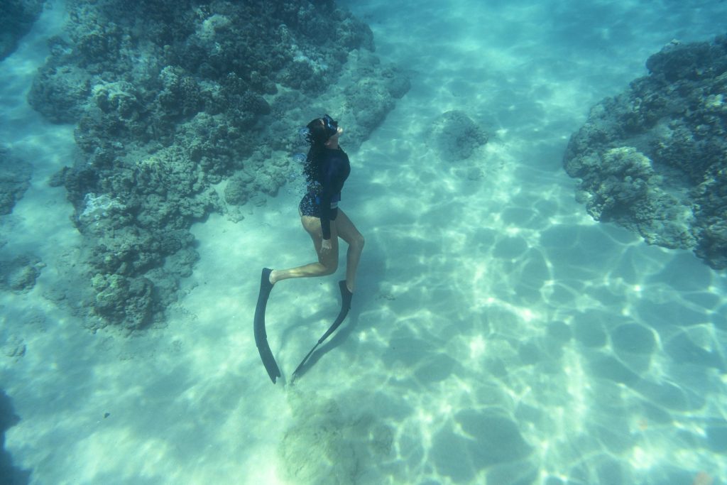 Diving or snorkeling in cenotes: which is better?