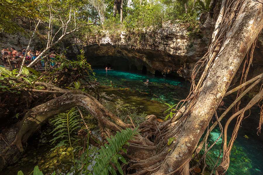 Gran Cenote: The "Rockstar"