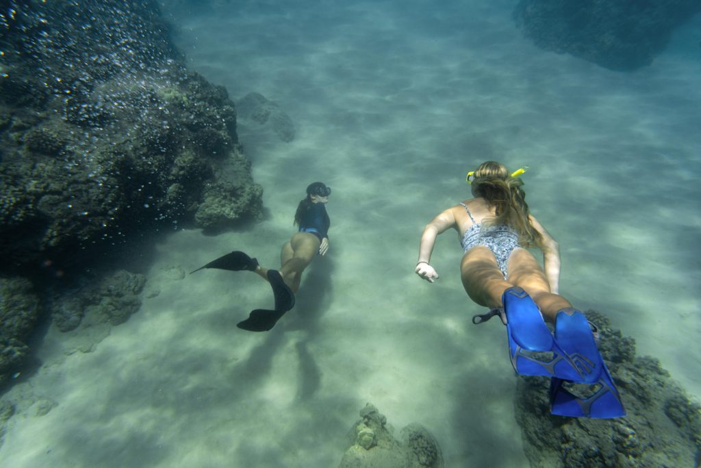 Snorkeling in Cenotes