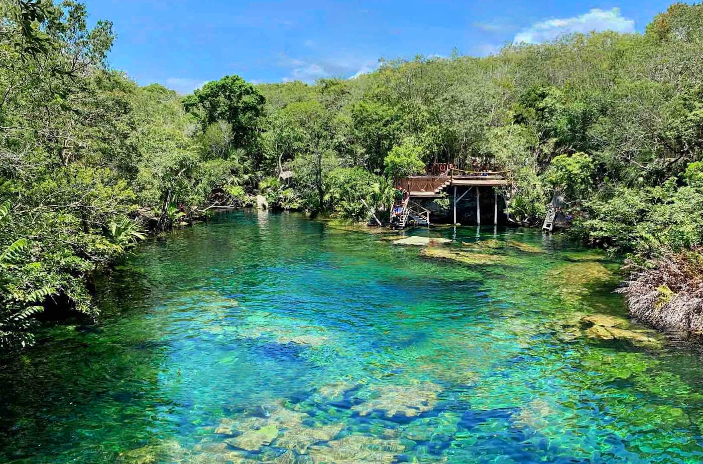 Cenote Jardin del Eden (Ponderosa)