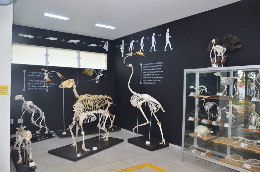 Prehistory Museum at Parque Dos Ojo
