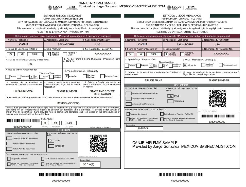 The FMM (Multiple Immigration Form)