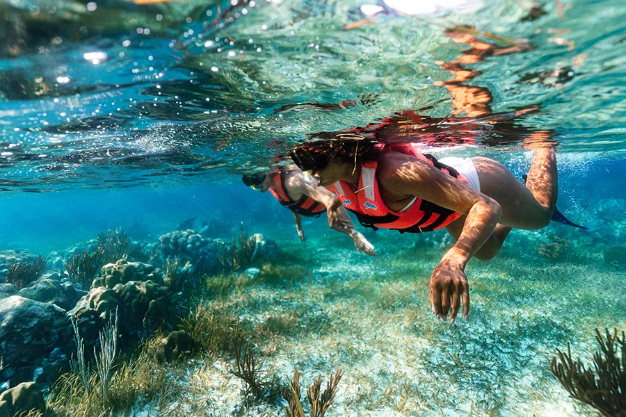 Snorkeling at the Great Mayan Reef