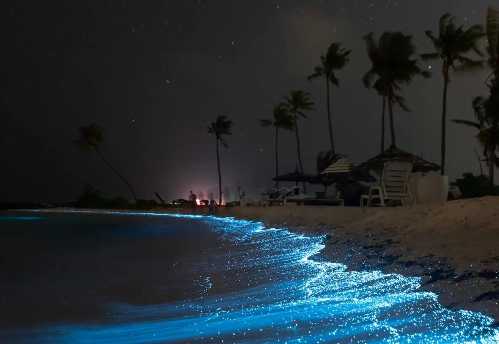 One of the most popular places is Punta Cocos.