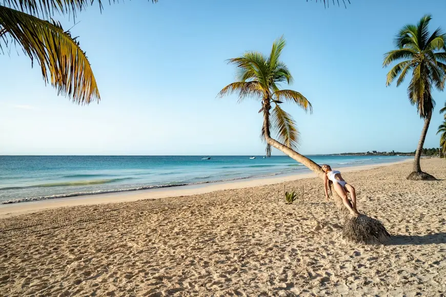 Strategic Plan for Tulum and Cost Reduction for Visitors. Enhancing Tulum as a Tourist Destination.