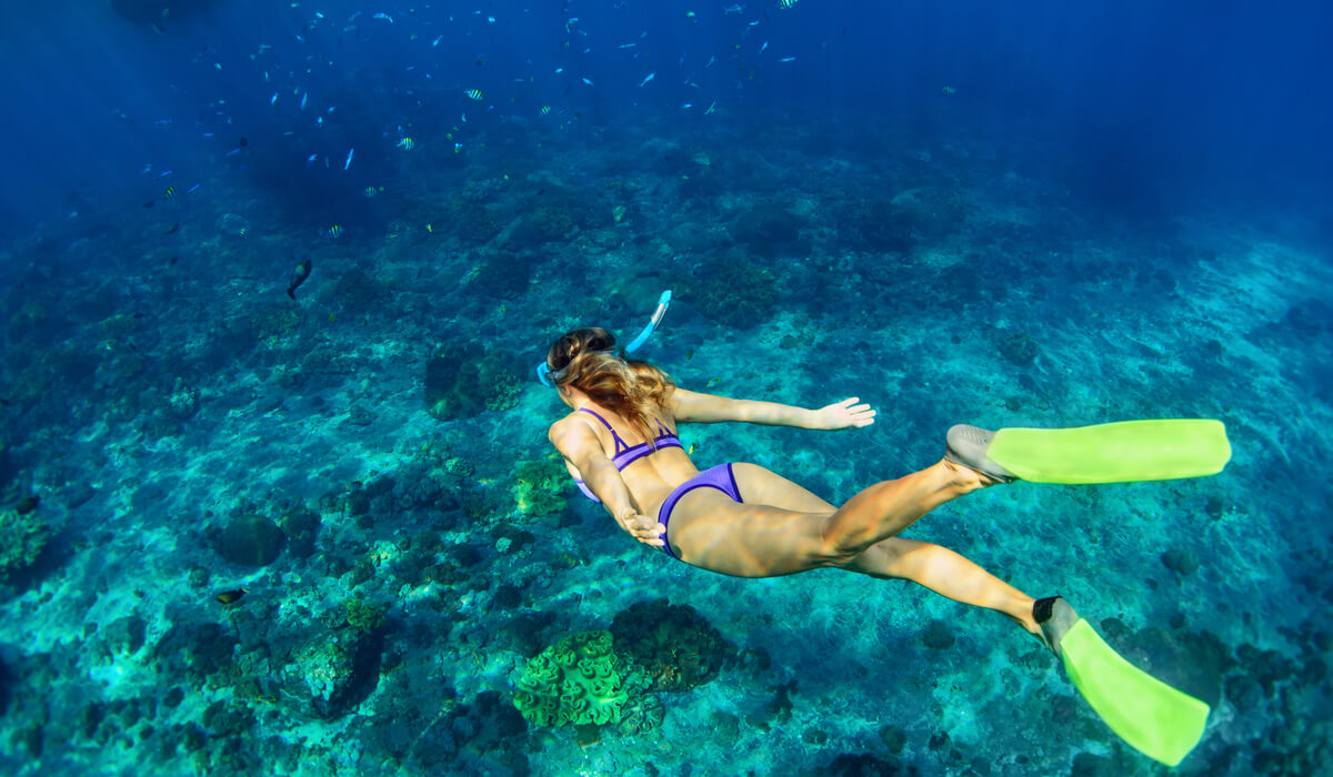 Snorkeling en Playa del Carmen Snorkeling en Playa del Carmen